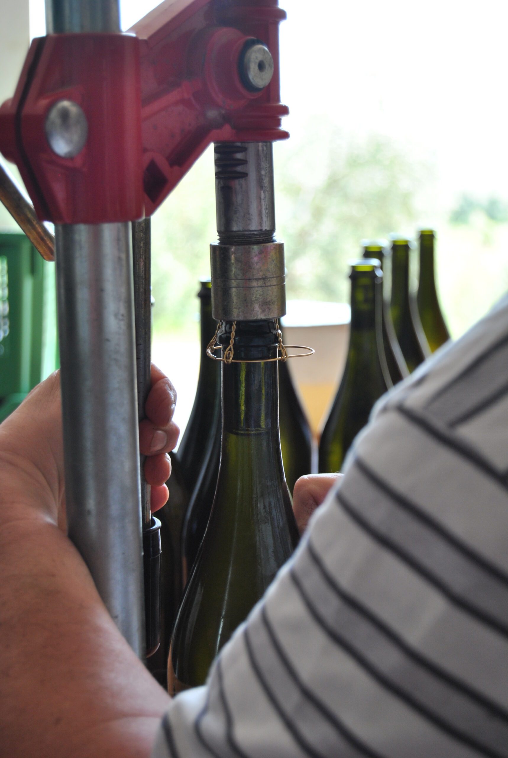 Conservare il vino aperto in bottiglia? Ecco i tappi che funzionano davvero