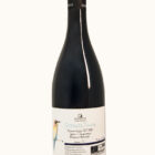 Una bottiglia di vino rosso IGT SettantaTrenta dell'azienda vitivinicola Quercialuce